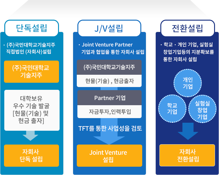 자회사 설립 유형 이미지