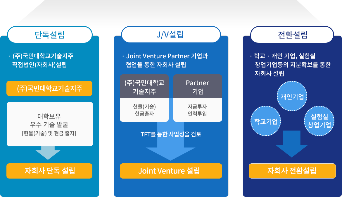 자회사 설립 유형 이미지